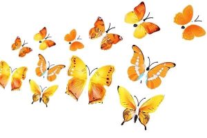 butterflies